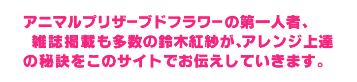 アニマルプリザーブドフラワーの第一人者、雑誌掲載も多数の鈴木紅紗が、アレンジ上達の秘訣をこのサイトでお伝えしていきます。