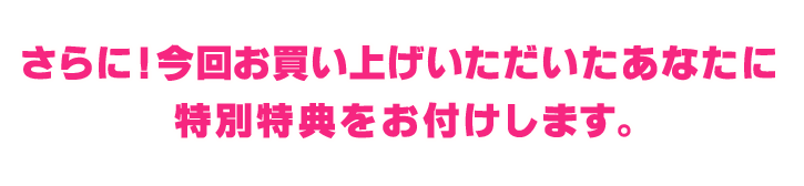 さらに！今回お買い上げいただいたあなたに9,800円相当の特別特典をお付けします。 